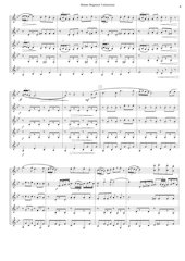 21 - Himno Regional Valenciano - J. Serrano - Set of Clarinets.pdf - página 5/14