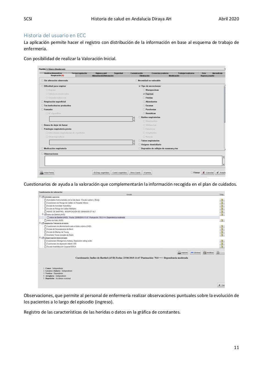 Vista previa del archivo PDF diraya-atencion-hospitalaria.pdf