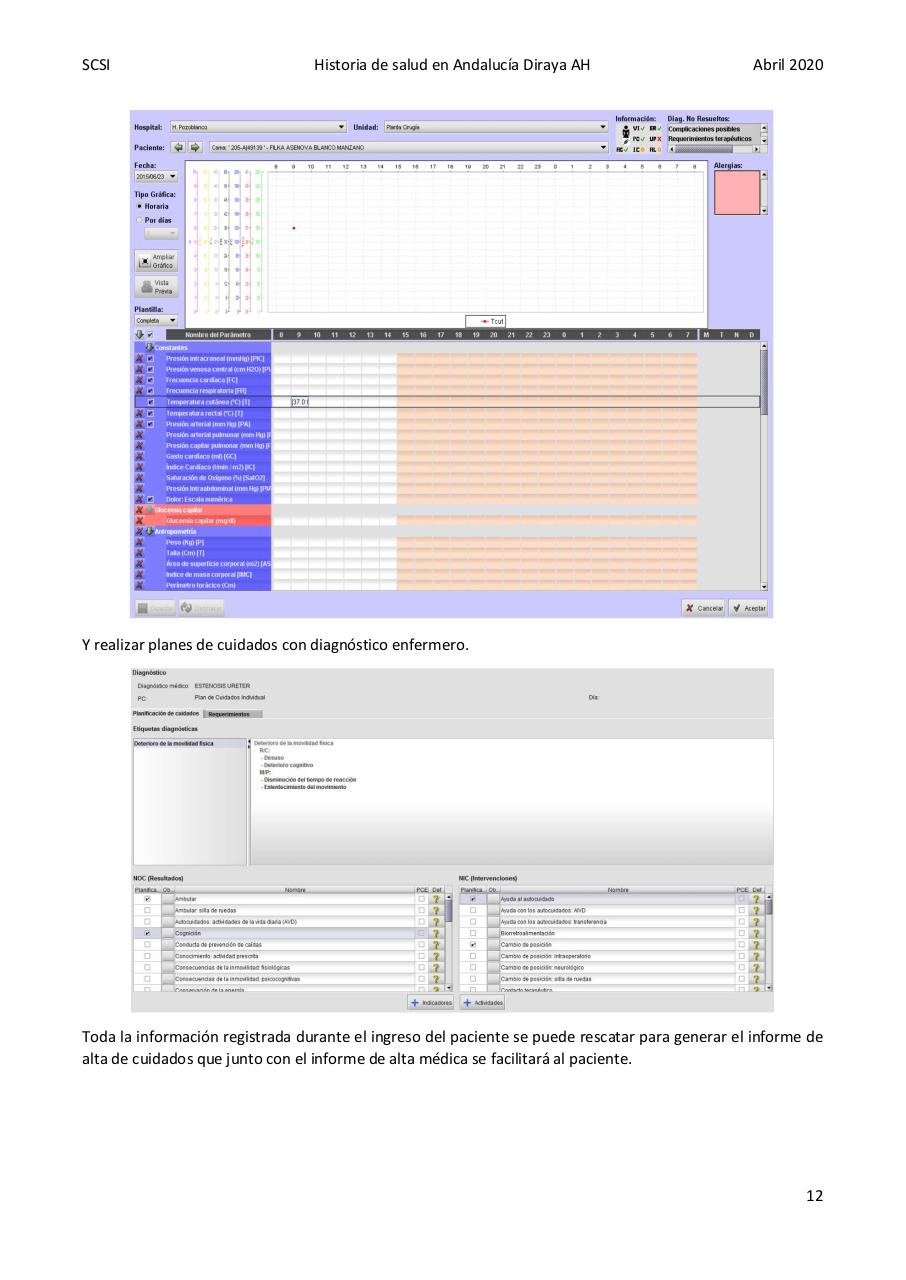 Vista previa del archivo PDF diraya-atencion-hospitalaria.pdf
