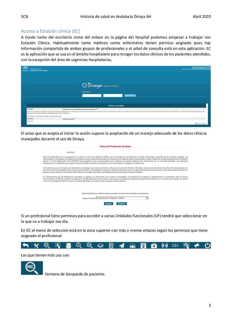 Vista previa del archivo PDF diraya-atencion-hospitalaria.pdf