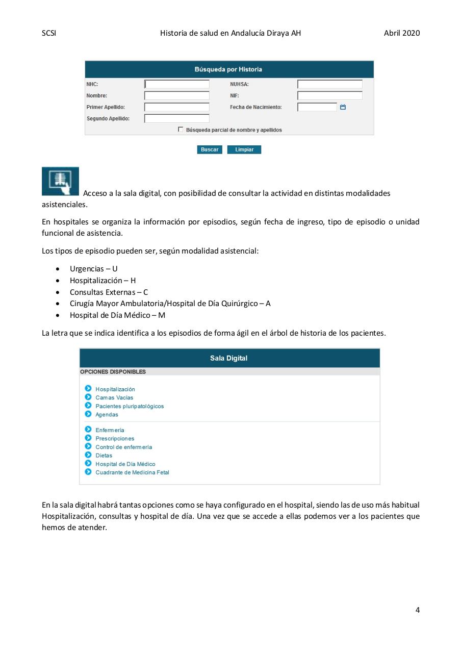 Vista previa del archivo PDF diraya-atencion-hospitalaria.pdf