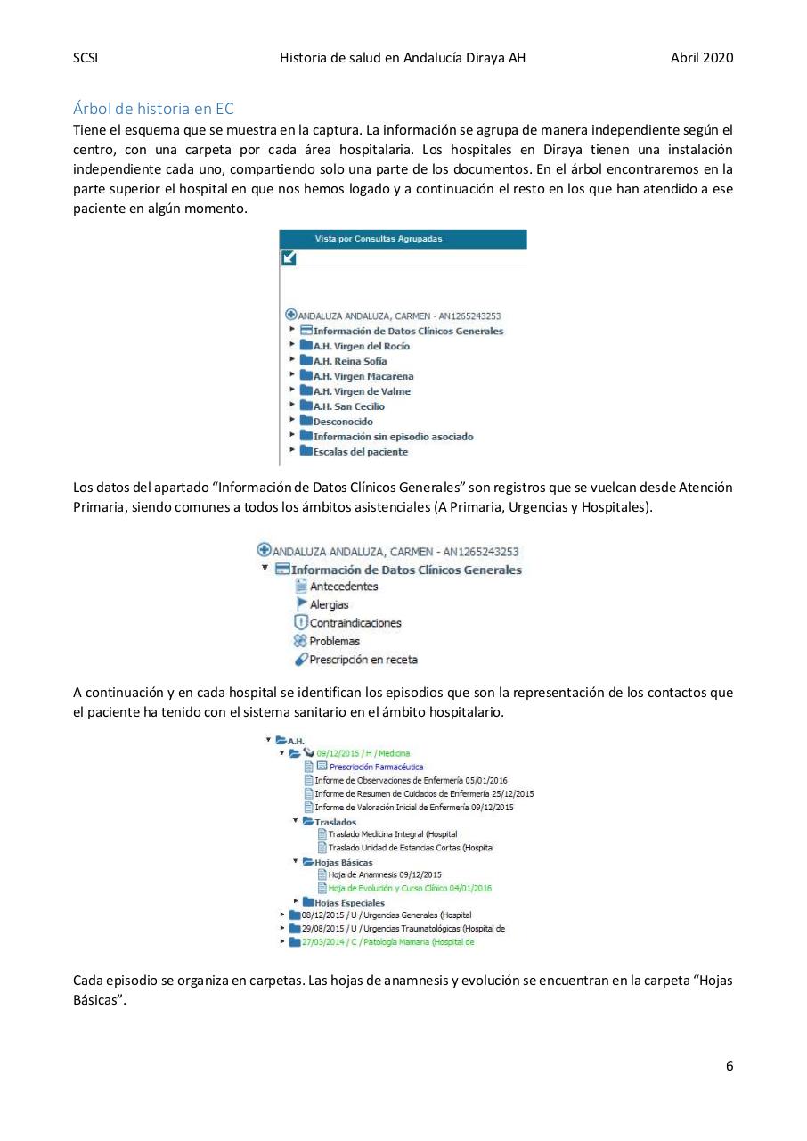Vista previa del archivo PDF diraya-atencion-hospitalaria.pdf