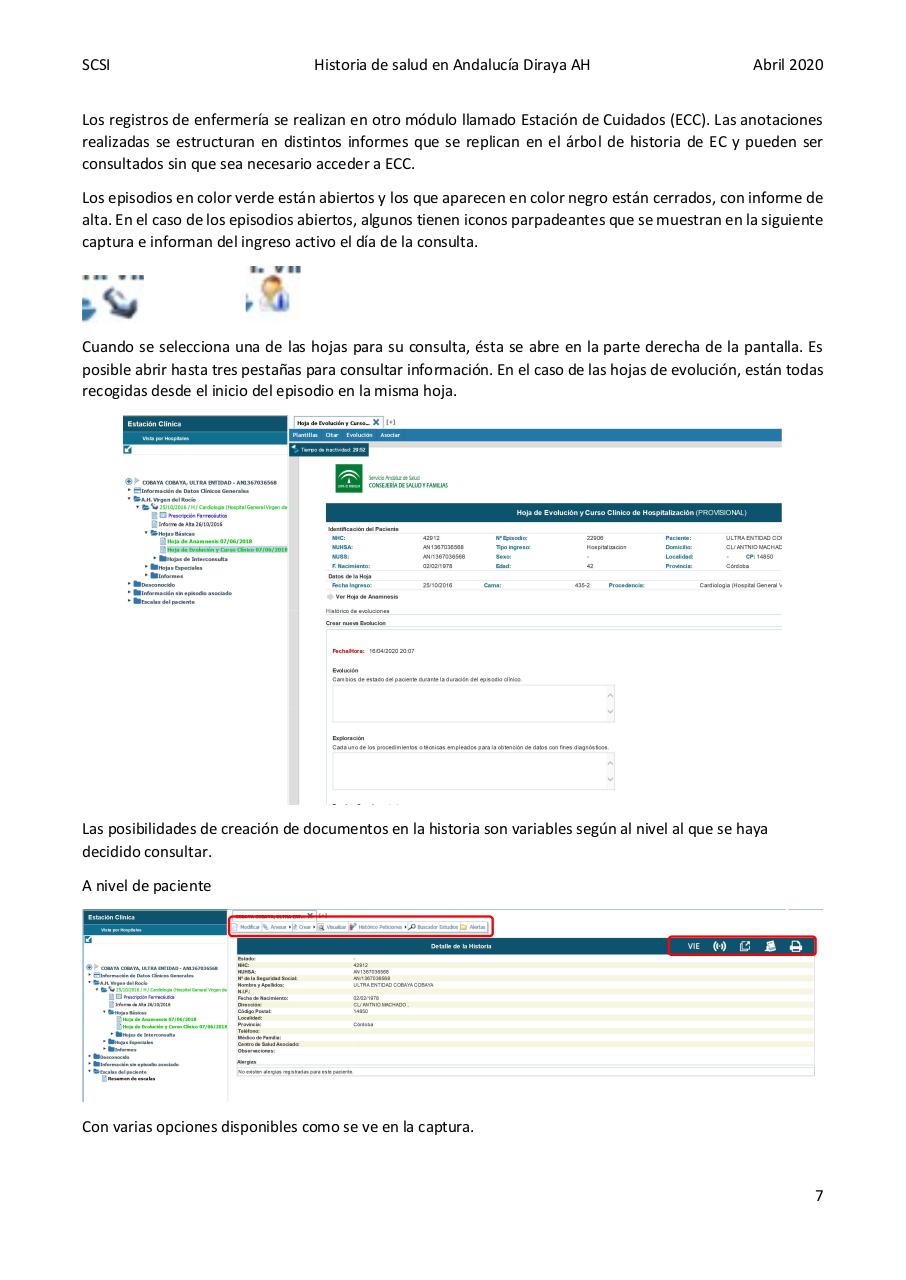 Vista previa del archivo PDF diraya-atencion-hospitalaria.pdf