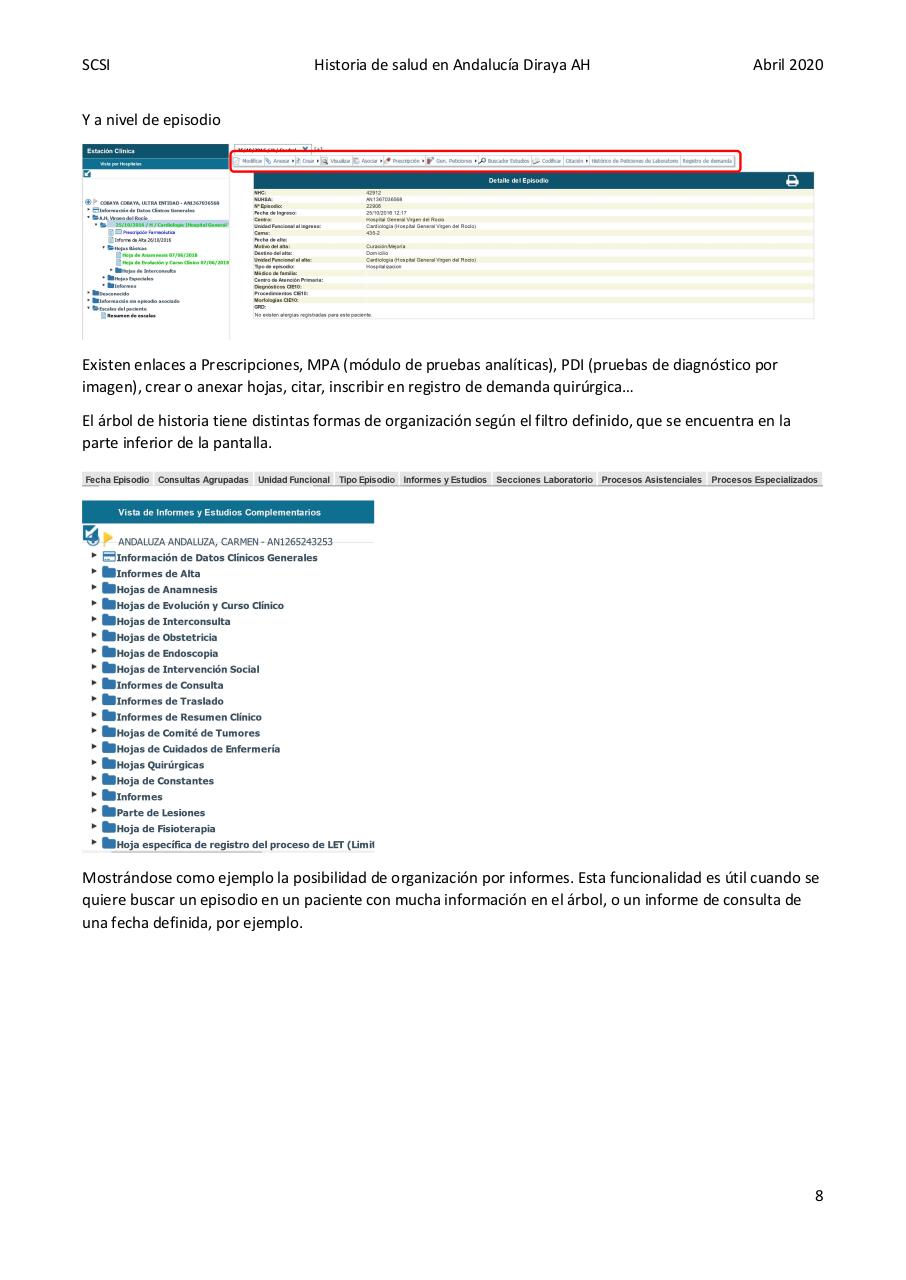 Vista previa del archivo PDF diraya-atencion-hospitalaria.pdf
