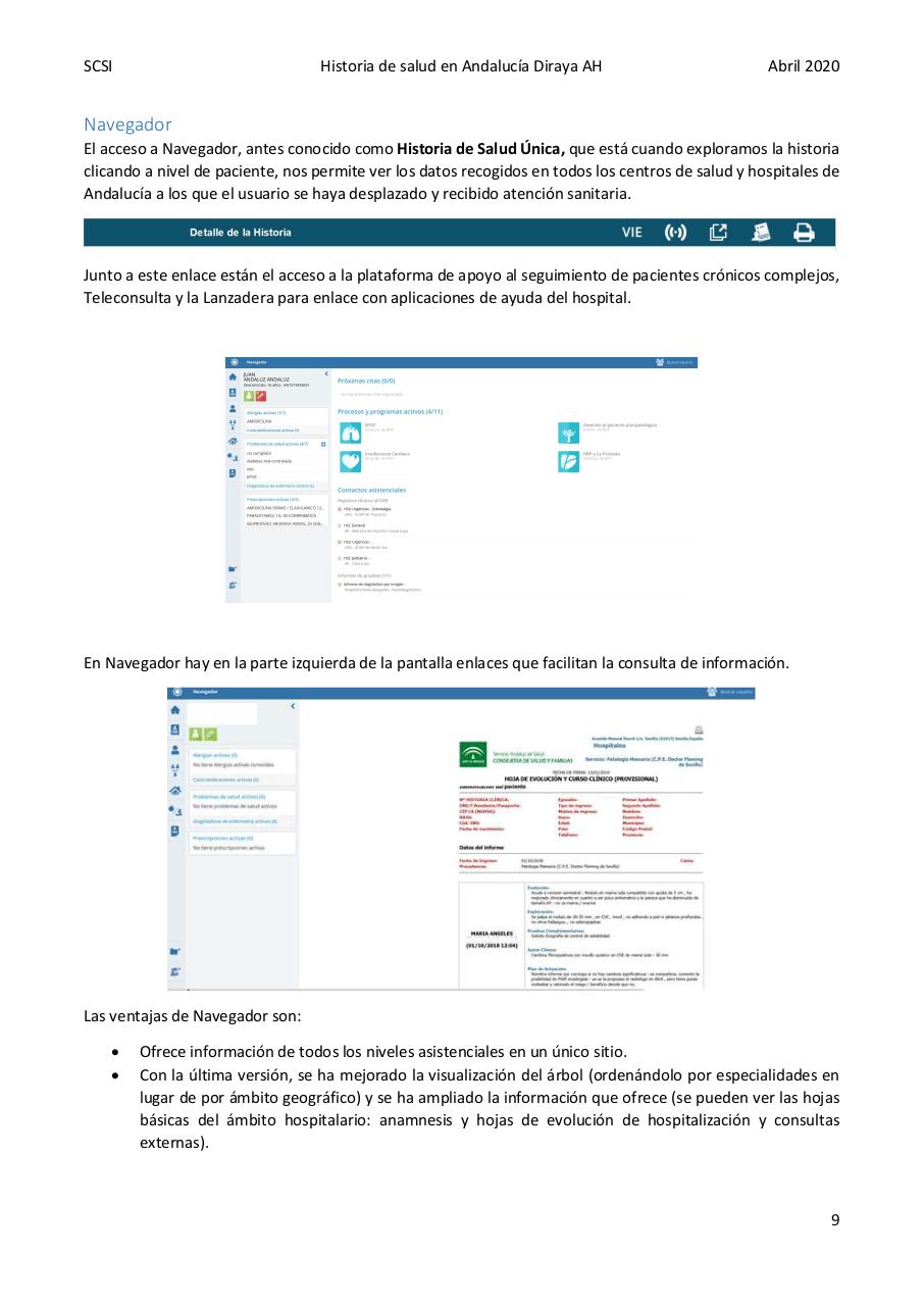 Vista previa del archivo PDF diraya-atencion-hospitalaria.pdf