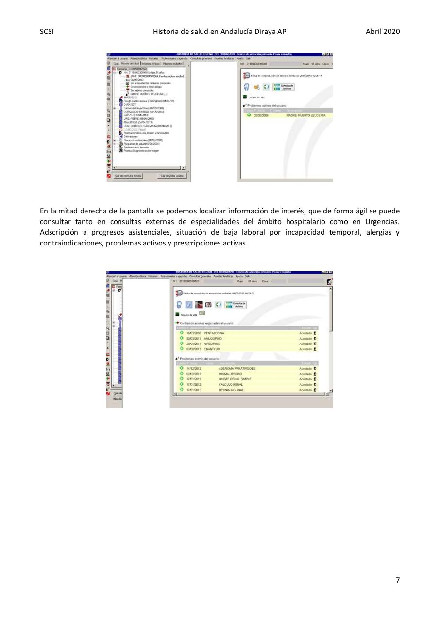 Vista previa del archivo PDF diraya-atencion-primaria-1.pdf