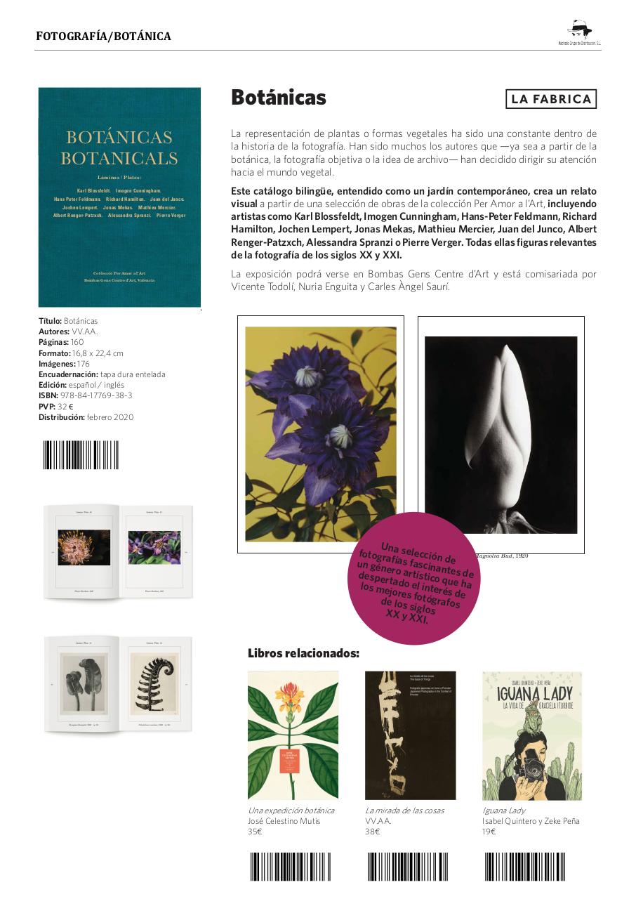 Vista previa del archivo PDF machado-novedades-confinadas-zc.pdf