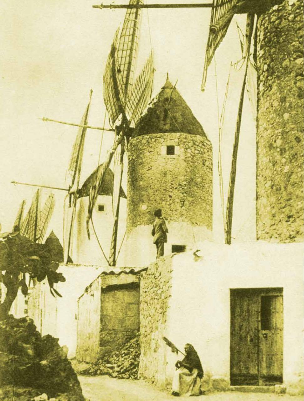 Vista previa del archivo PDF can-lau.pdf