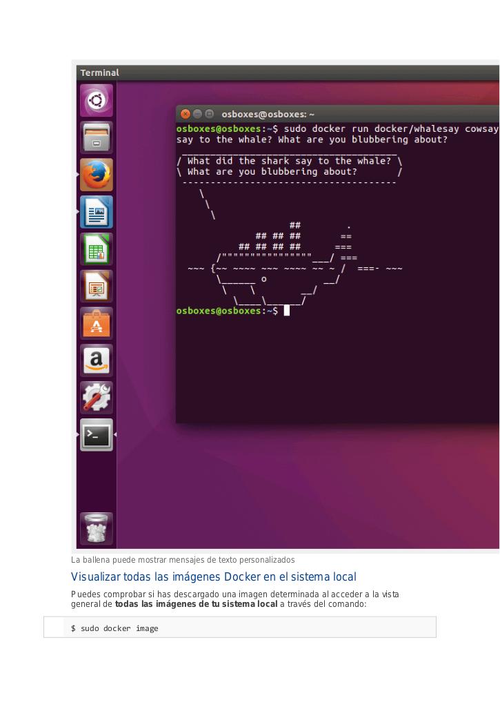 Vista previa del archivo PDF docker.pdf