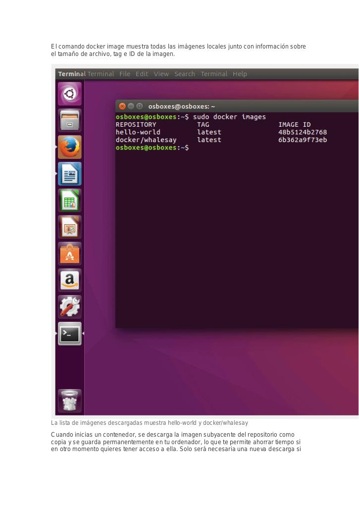 Vista previa del archivo PDF docker.pdf