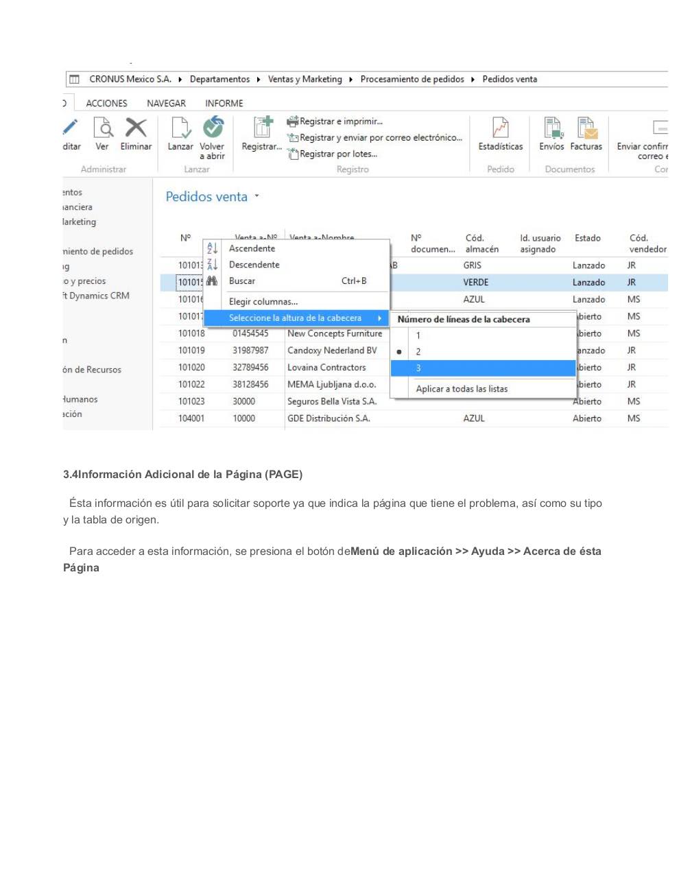 Vista previa del archivo PDF 1540579164tutorial-basico-dynamics-nav-49.pdf