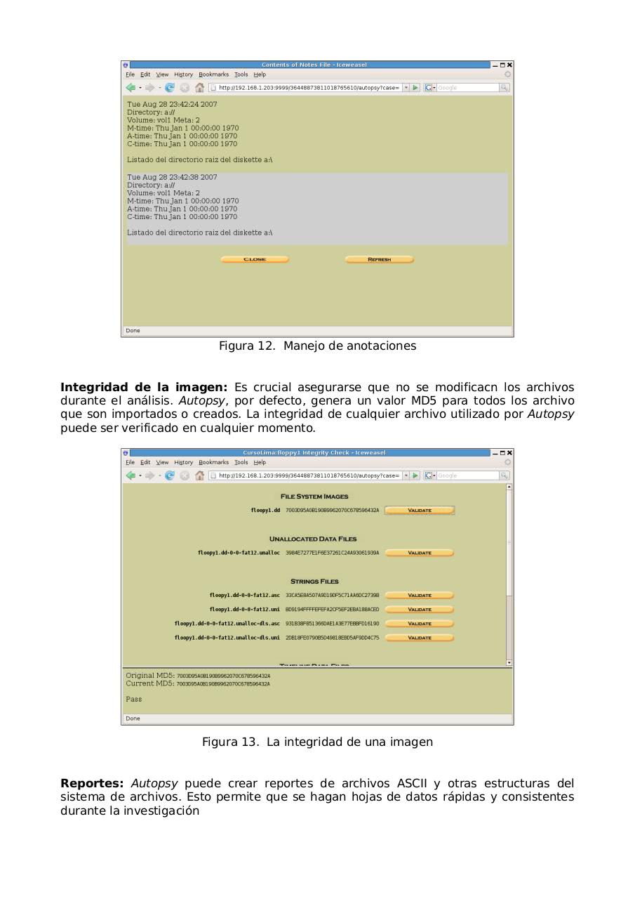 Vista previa del archivo PDF manual-autopsy.pdf