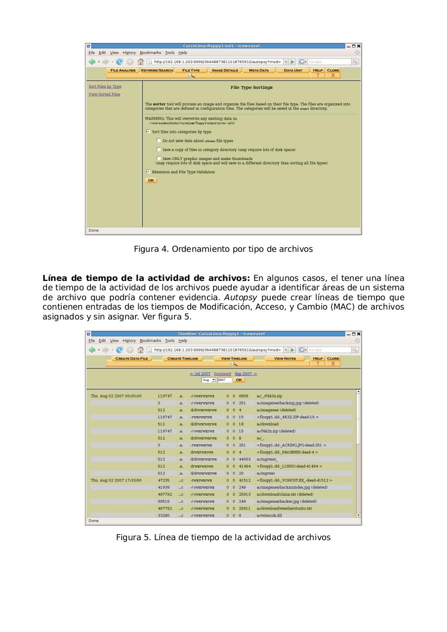 Vista previa del archivo PDF manual-autopsy.pdf