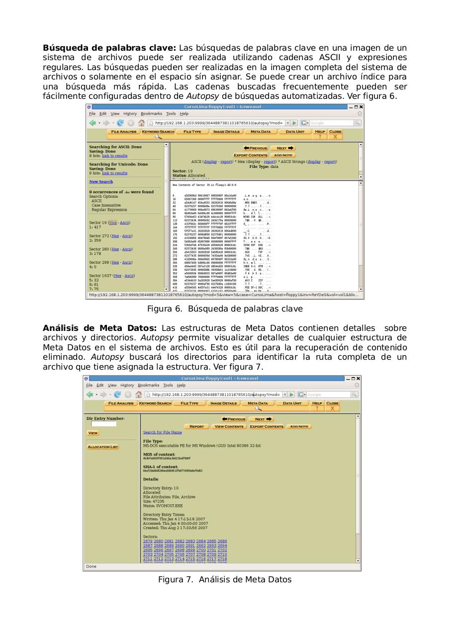 Vista previa del archivo PDF manual-autopsy.pdf