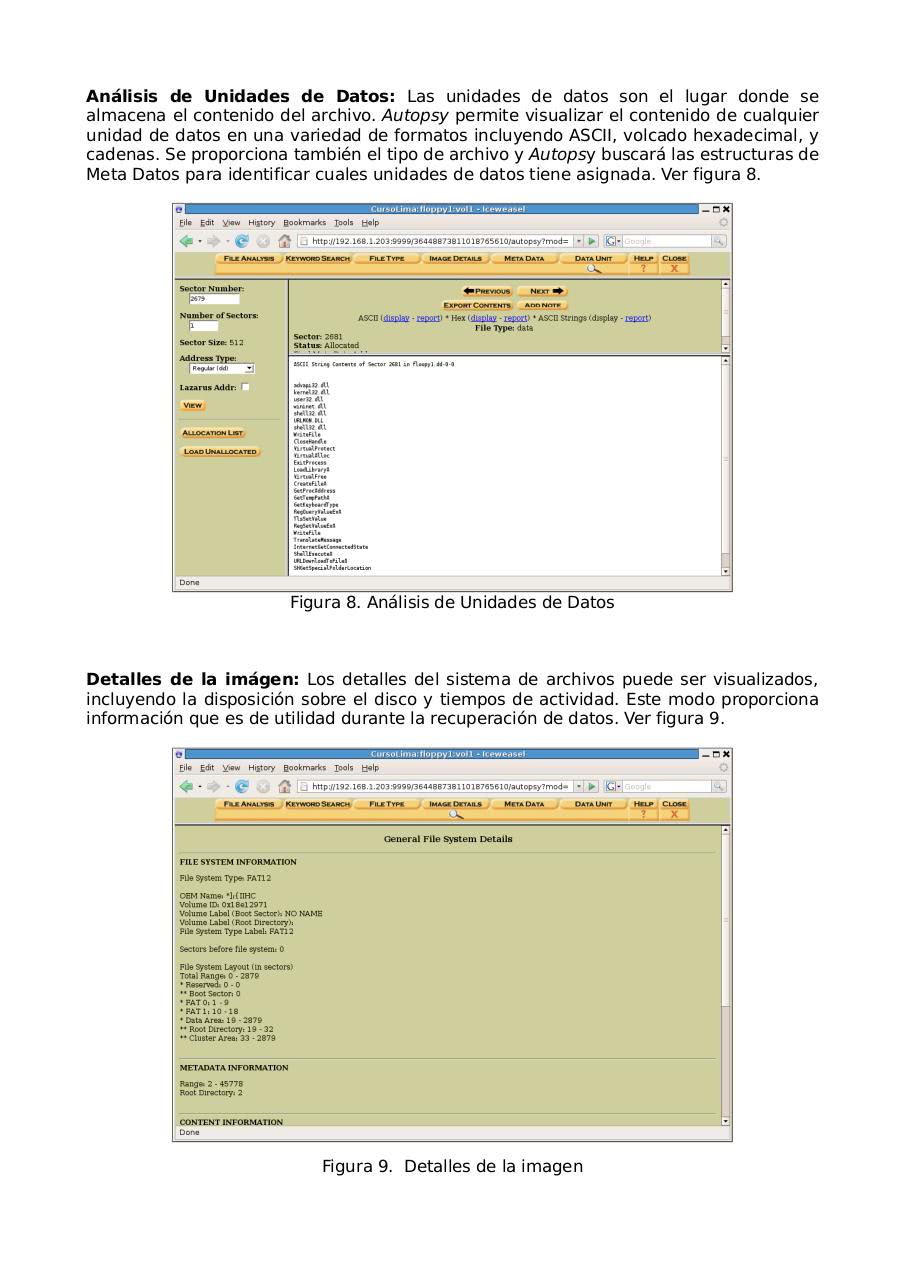 Vista previa del archivo PDF manual-autopsy.pdf