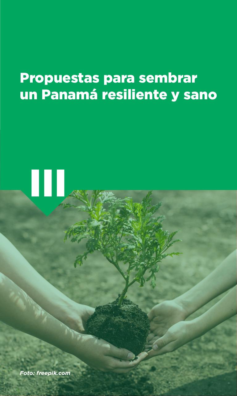 Vista previa del archivo PDF plan-panama-digital.pdf