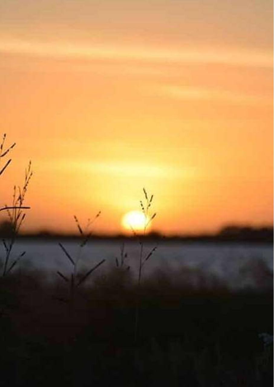 Vista previa del archivo PDF canto-a-mi-tierra-i-uruguay13092020-1.pdf