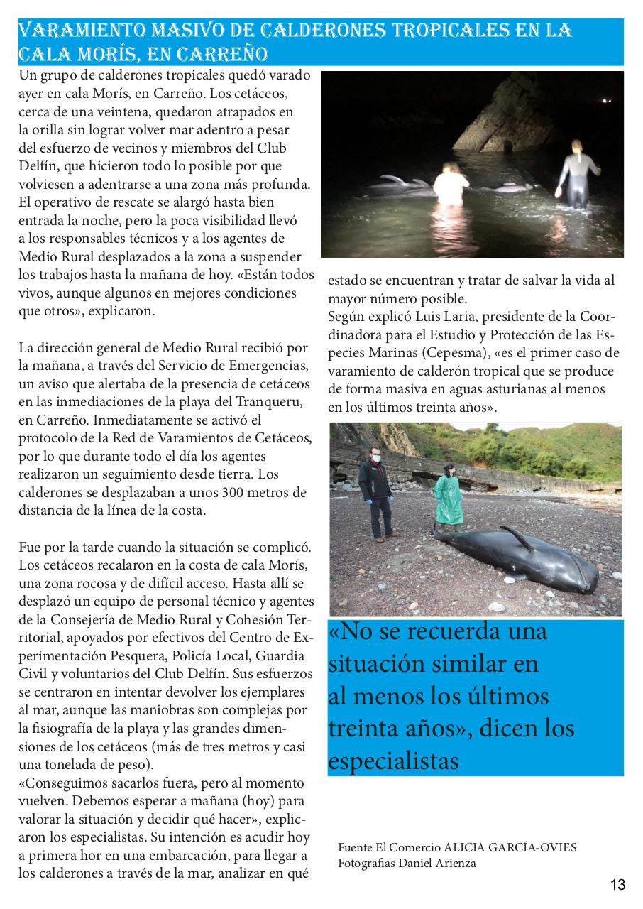 Vista previa del archivo PDF revista-numero-25-cands-en-la-memoria.pdf