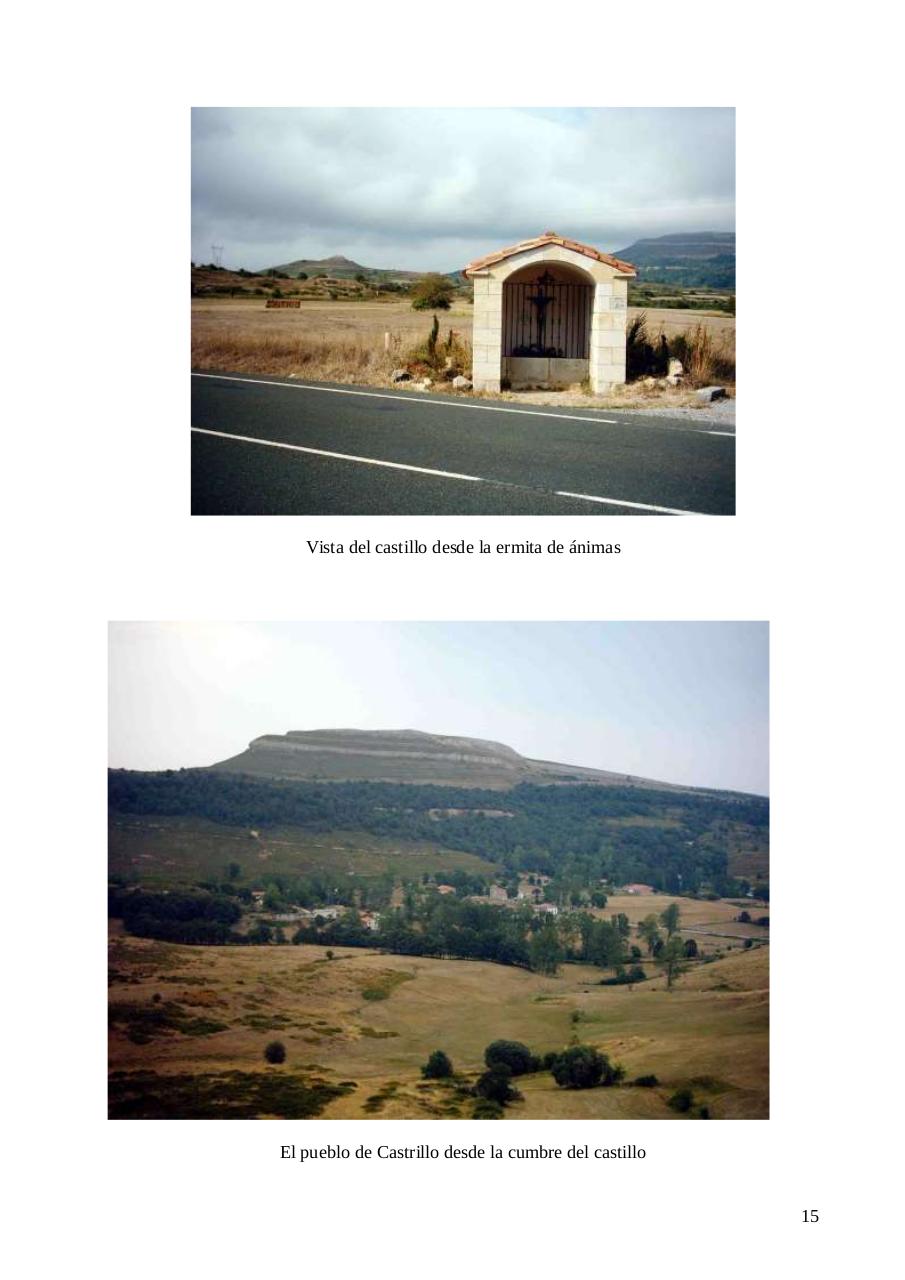 Vista previa del archivo PDF robo-de-la-imagen-de-la-virgen-de-argomedo.pdf
