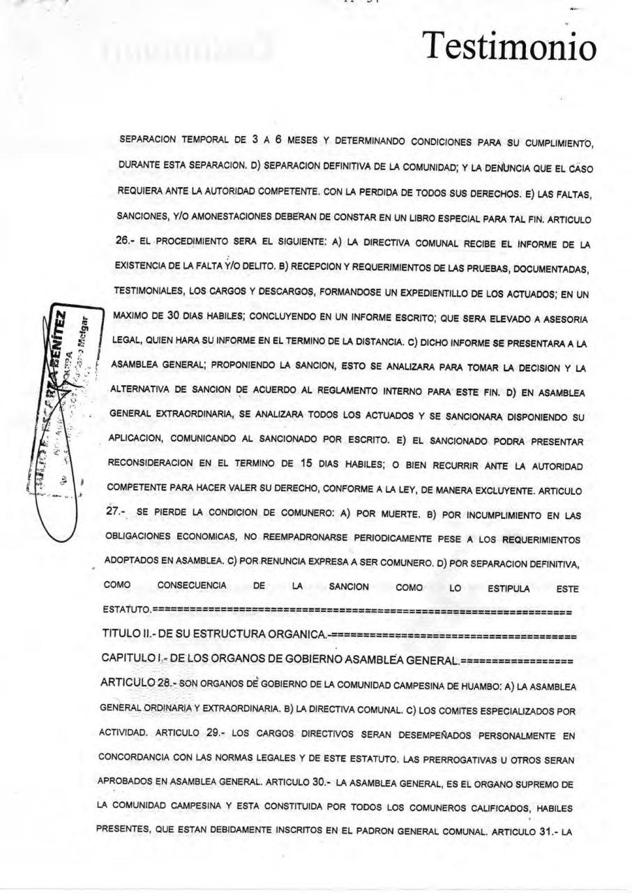 Vista previa del archivo PDF estatuto-cch.pdf