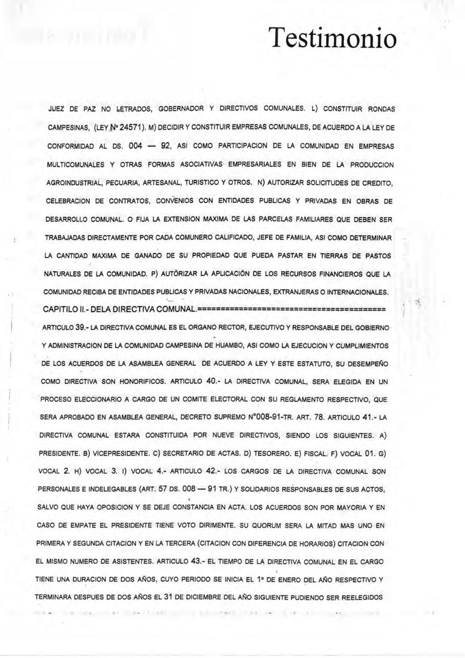 Vista previa del archivo PDF estatuto-cch.pdf