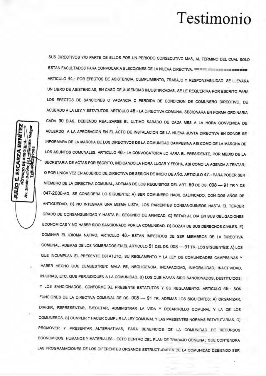 Vista previa del archivo PDF estatuto-cch.pdf