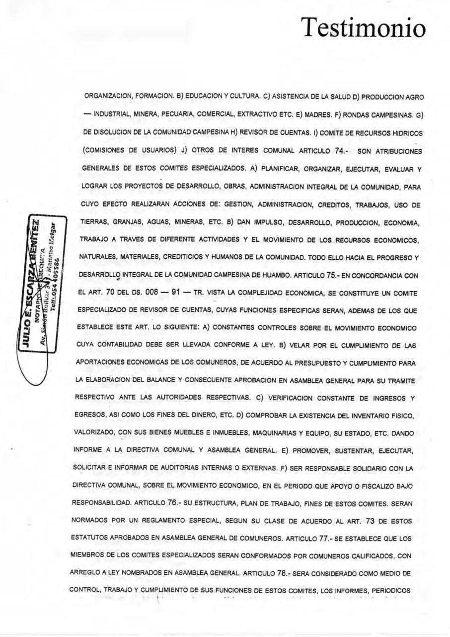 Vista previa del archivo PDF estatuto-cch.pdf