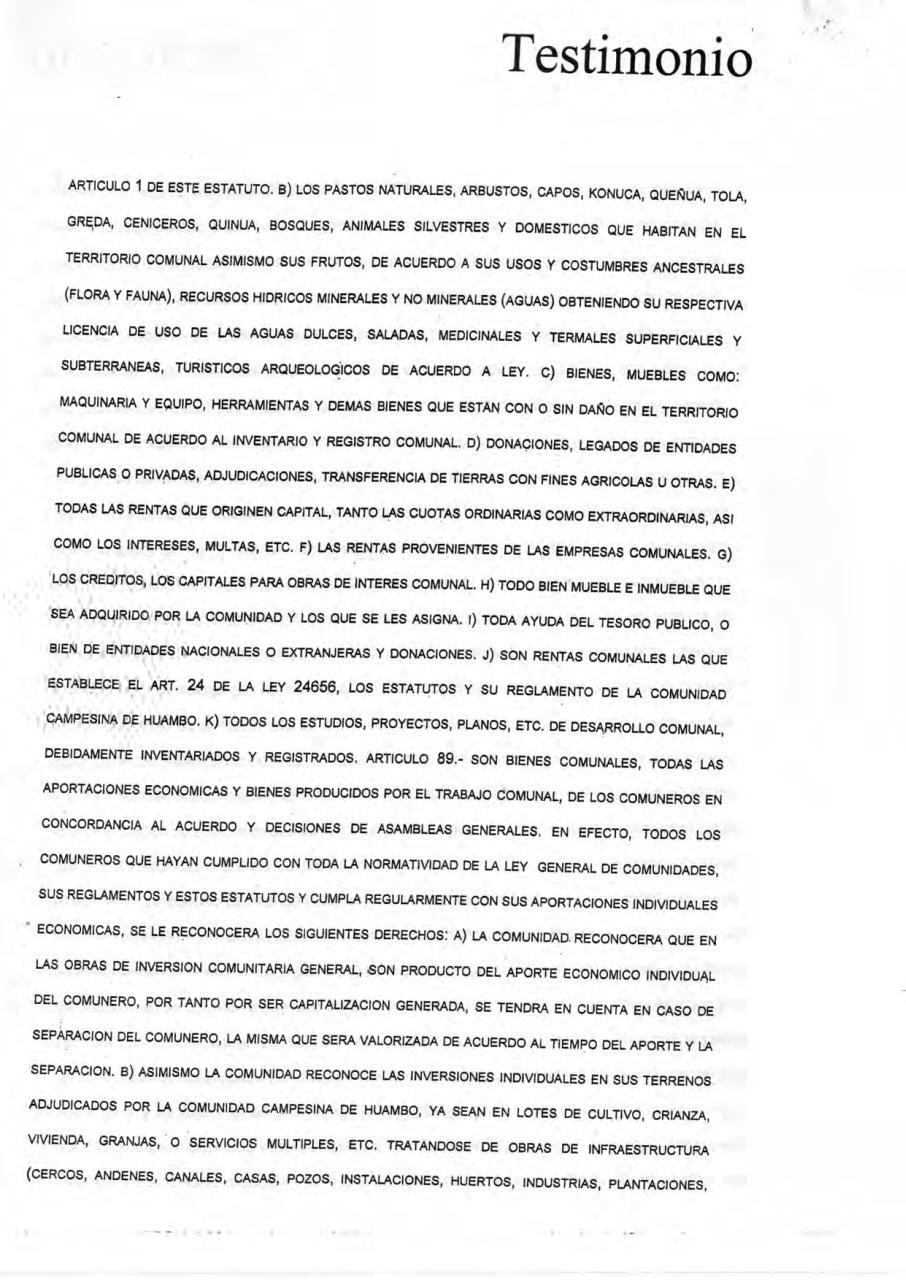 Vista previa del archivo PDF estatuto-cch.pdf