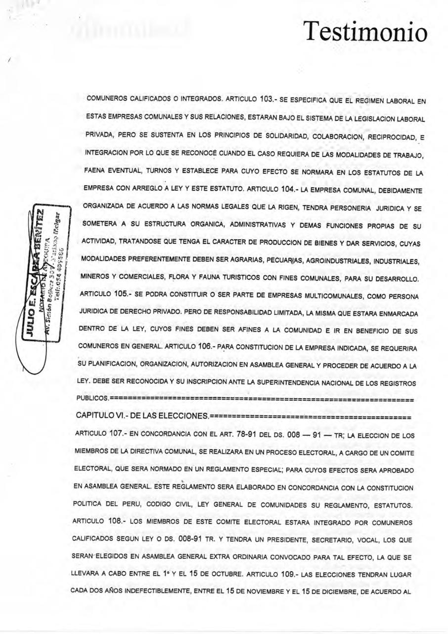 Vista previa del archivo PDF estatuto-cch.pdf