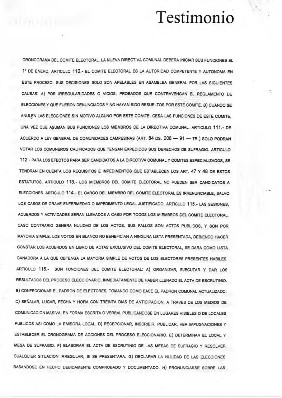 Vista previa del archivo PDF estatuto-cch.pdf