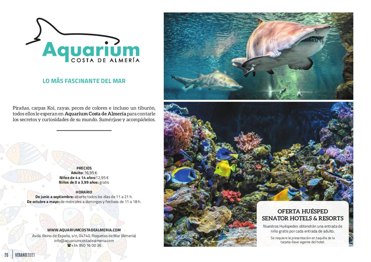 Vista previa del archivo PDF playahotelescatalogoverano2021.pdf