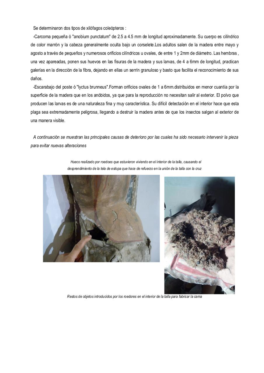 Vista previa del archivo PDF cristo-del-perdonresumen.pdf