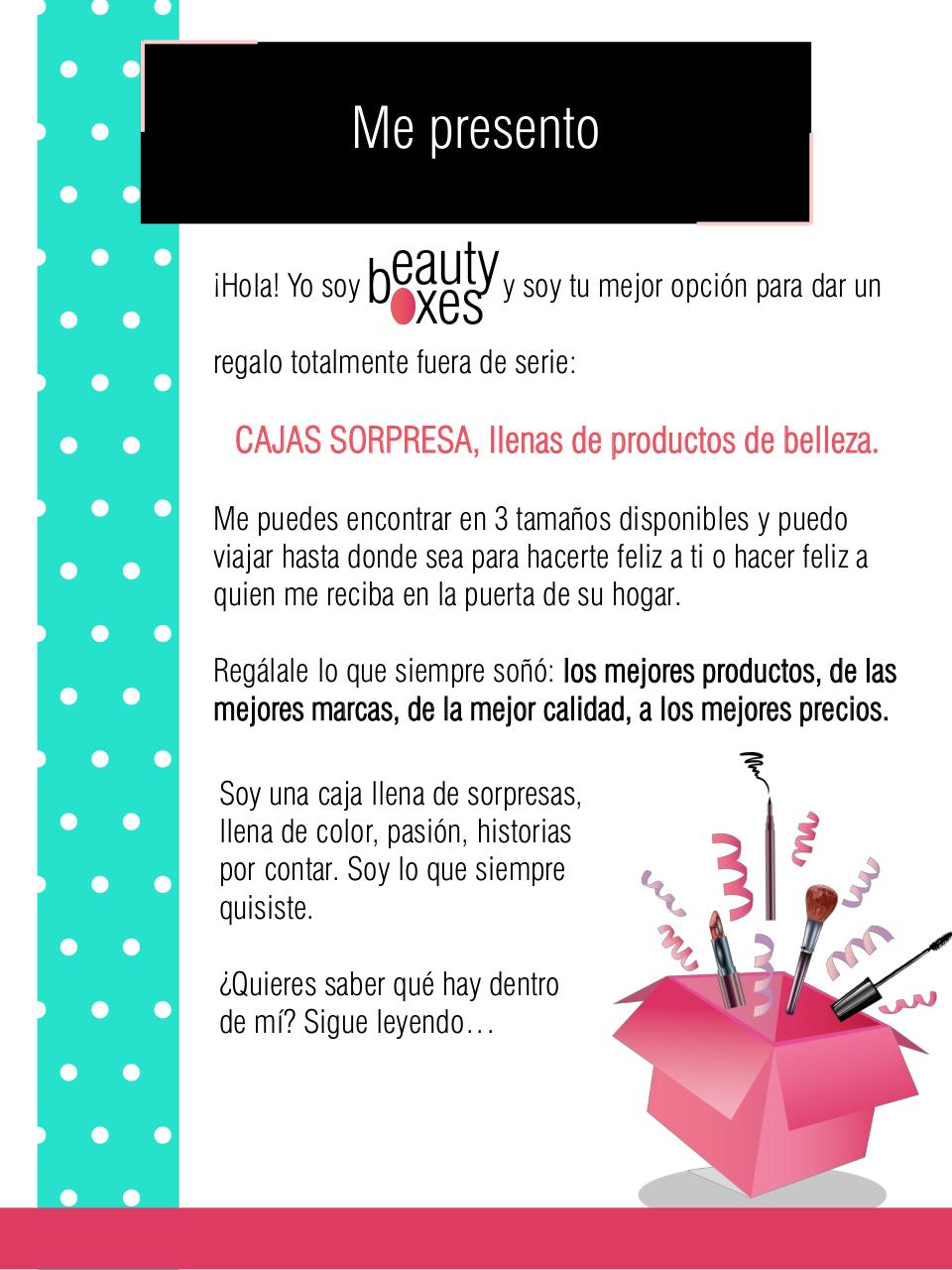 Vista previa del archivo PDF btyboxesbrochure.pdf