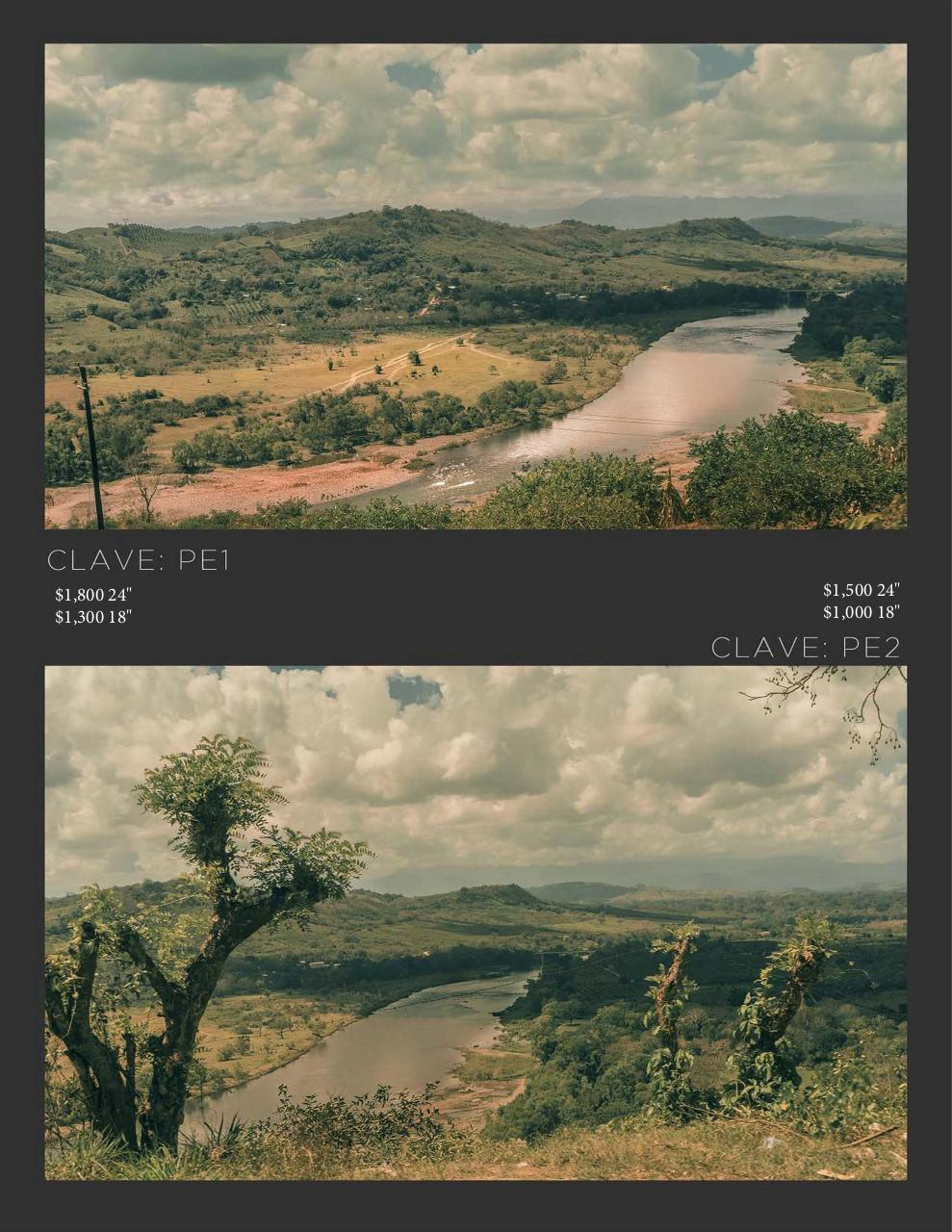 Vista previa del archivo PDF catalogomanuelcansecopaisajes2021.pdf