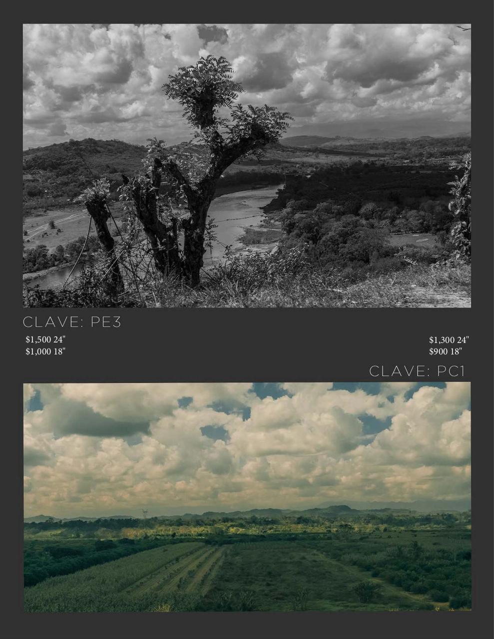 Vista previa del archivo PDF catalogomanuelcansecopaisajes2021.pdf