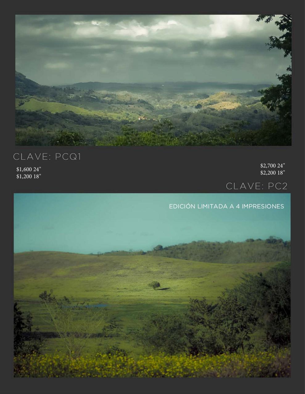 Vista previa del archivo PDF catalogomanuelcansecopaisajes2021.pdf