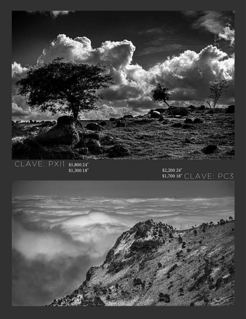 Vista previa del archivo PDF catalogomanuelcansecopaisajes2021.pdf