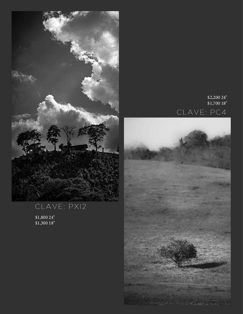 Vista previa del archivo PDF catalogomanuelcansecopaisajes2021.pdf