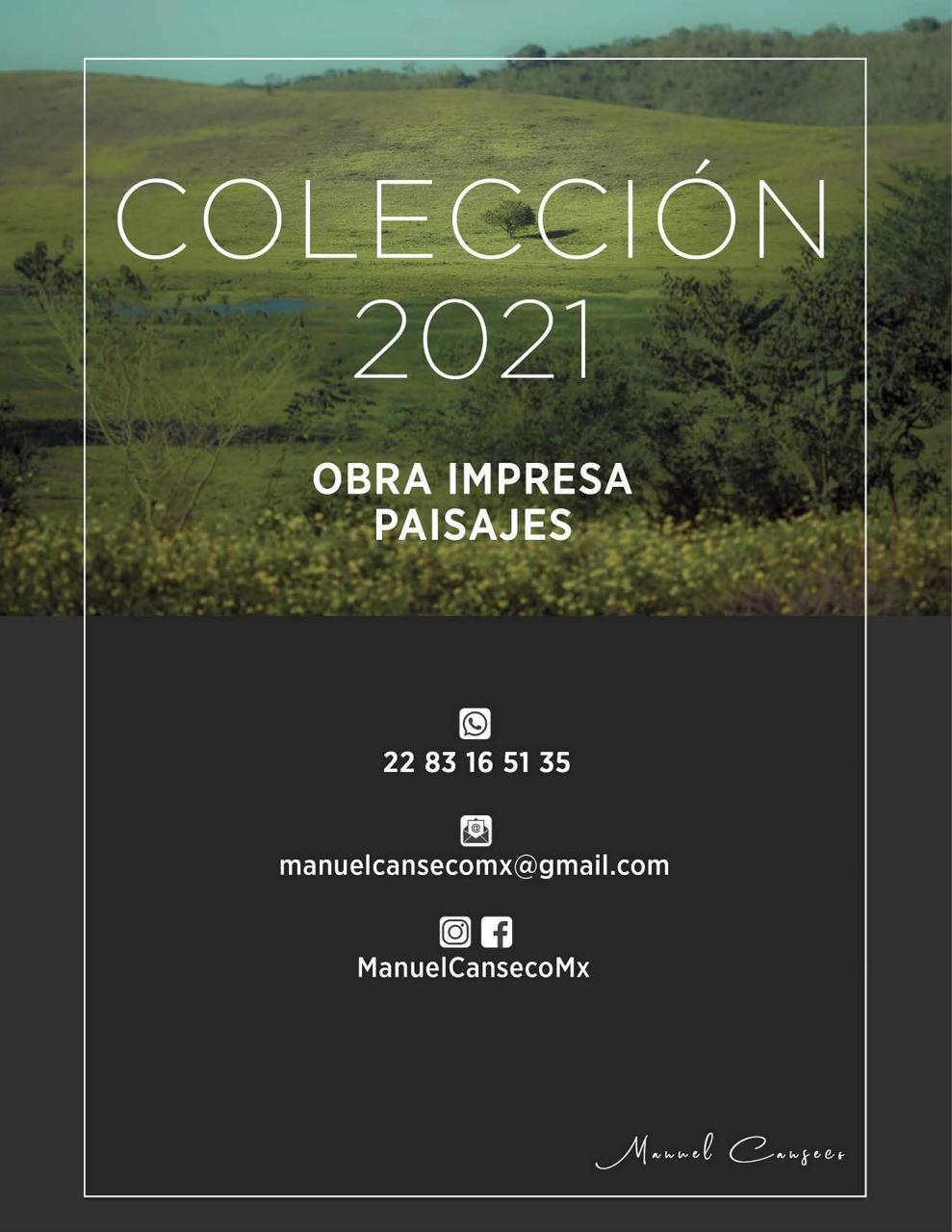 Vista previa del archivo PDF catalogomanuelcansecopaisajes2021.pdf