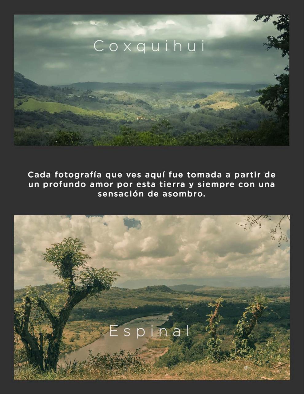 Vista previa del archivo PDF catalogomanuelcansecopaisajes2021.pdf