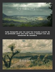 Catalogo_ManuelCanseco_paisajes_2021_.pdf - página 4/21