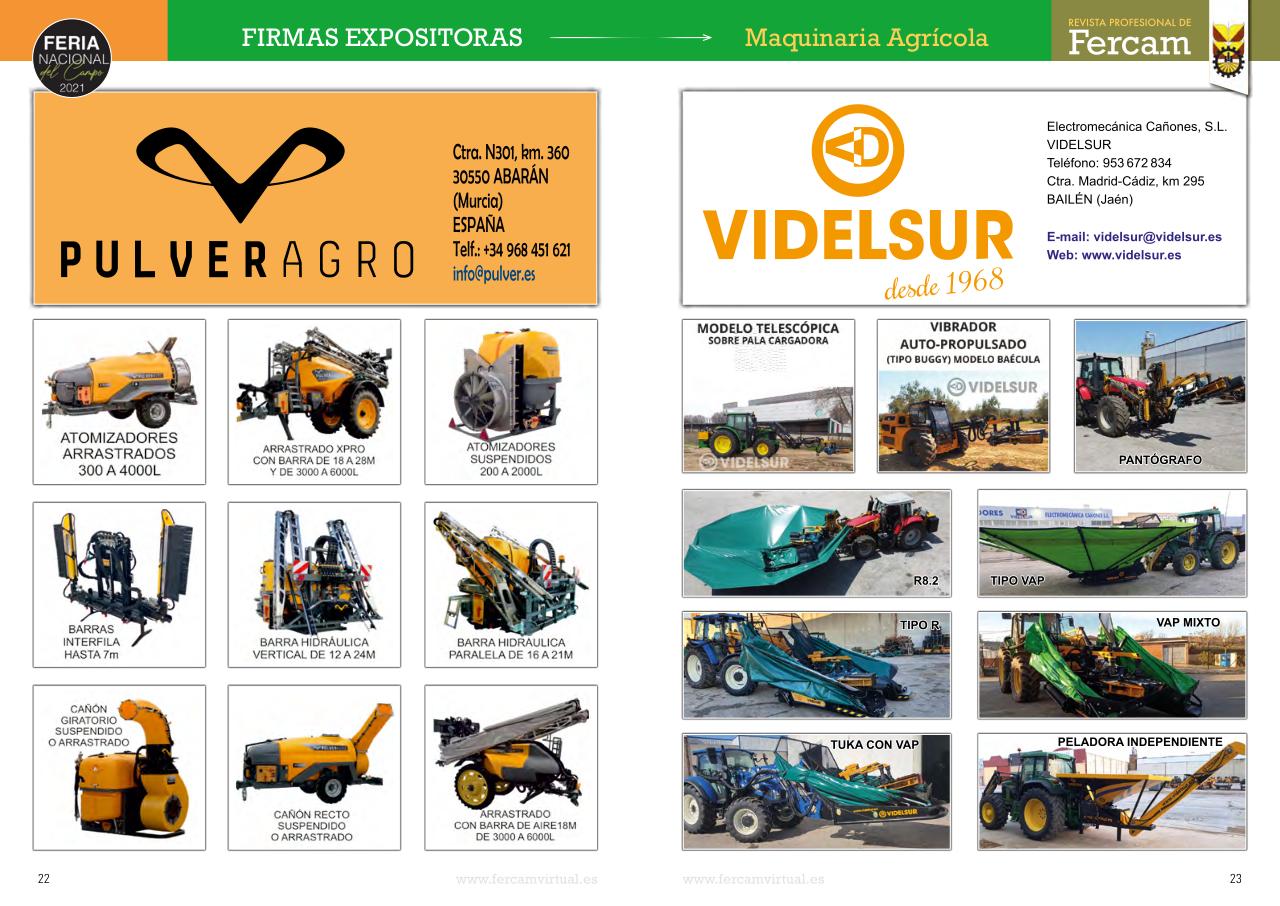 Vista previa del archivo PDF fercam2021.pdf