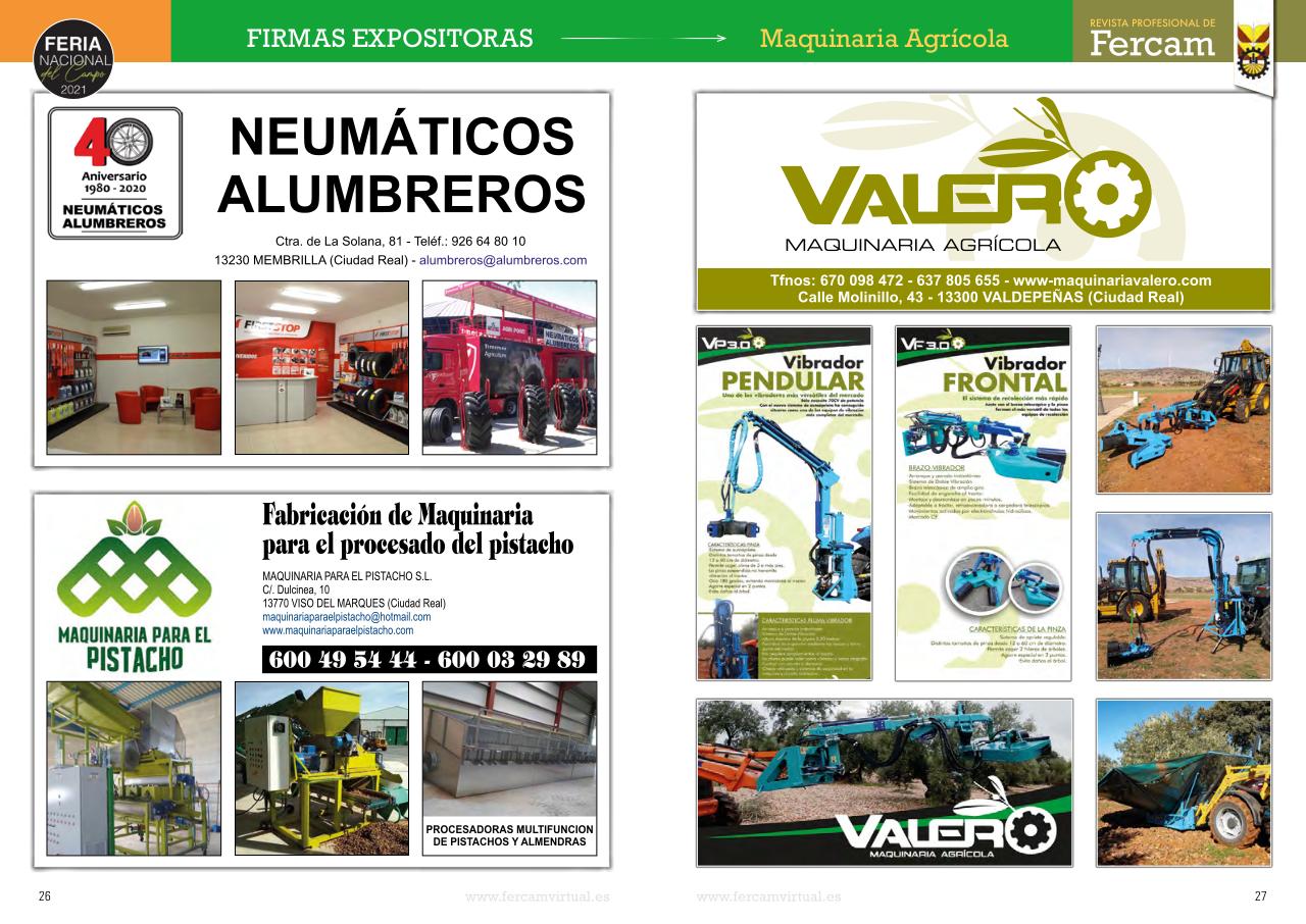 Vista previa del archivo PDF fercam2021.pdf