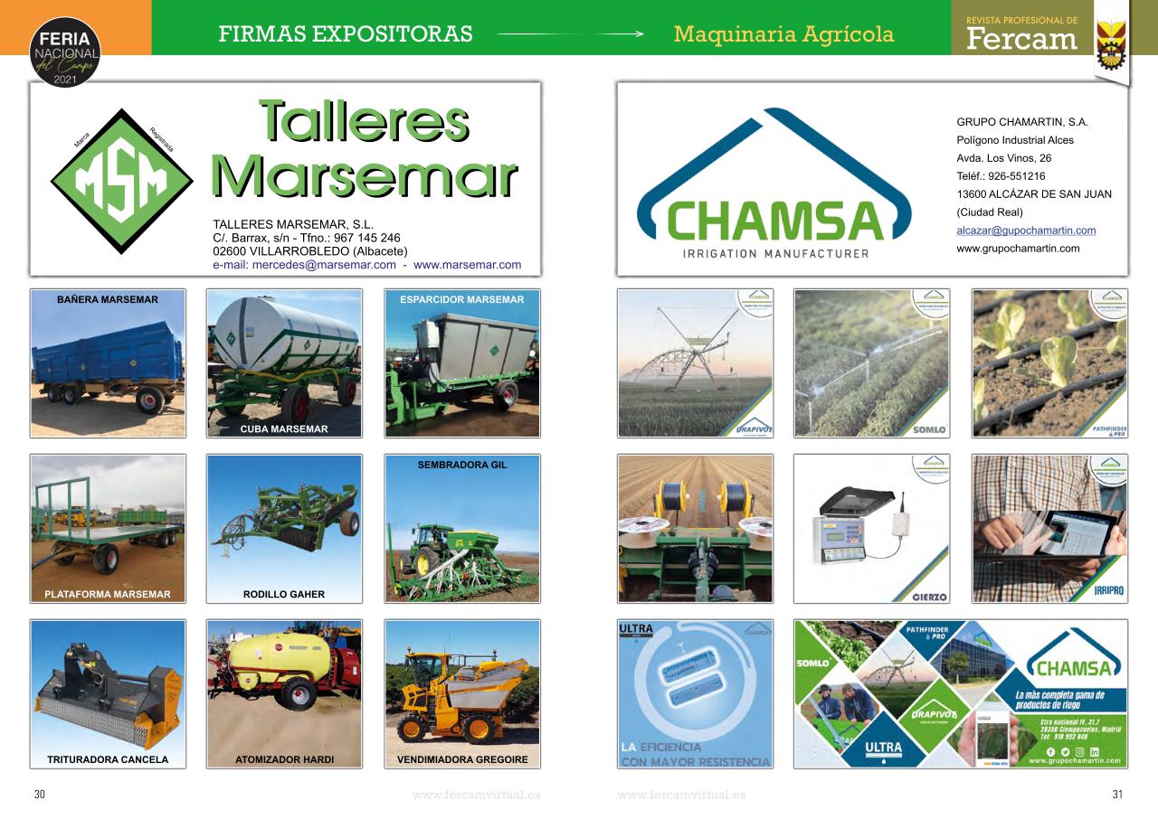 Vista previa del archivo PDF fercam2021.pdf