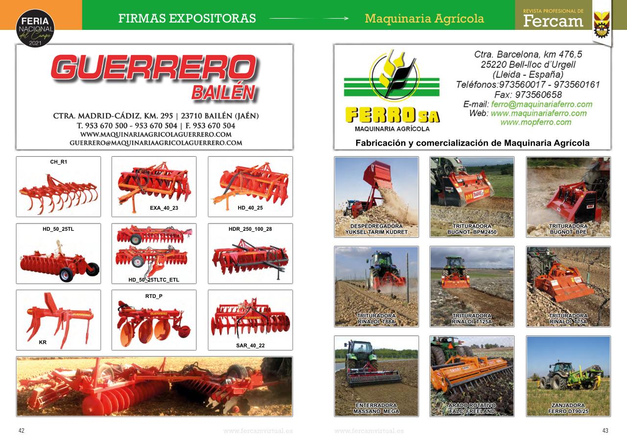 Vista previa del archivo PDF fercam2021.pdf