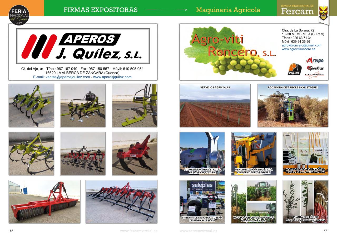 Vista previa del archivo PDF fercam2021.pdf