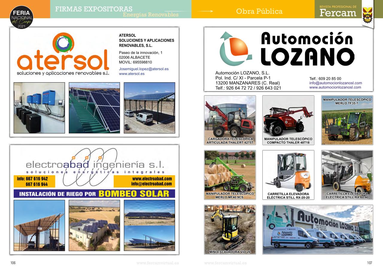 Vista previa del archivo PDF fercam2021.pdf