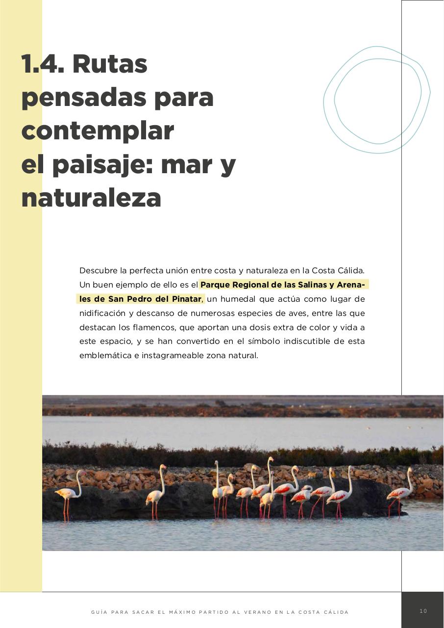 Vista previa del archivo PDF guia-verano.pdf