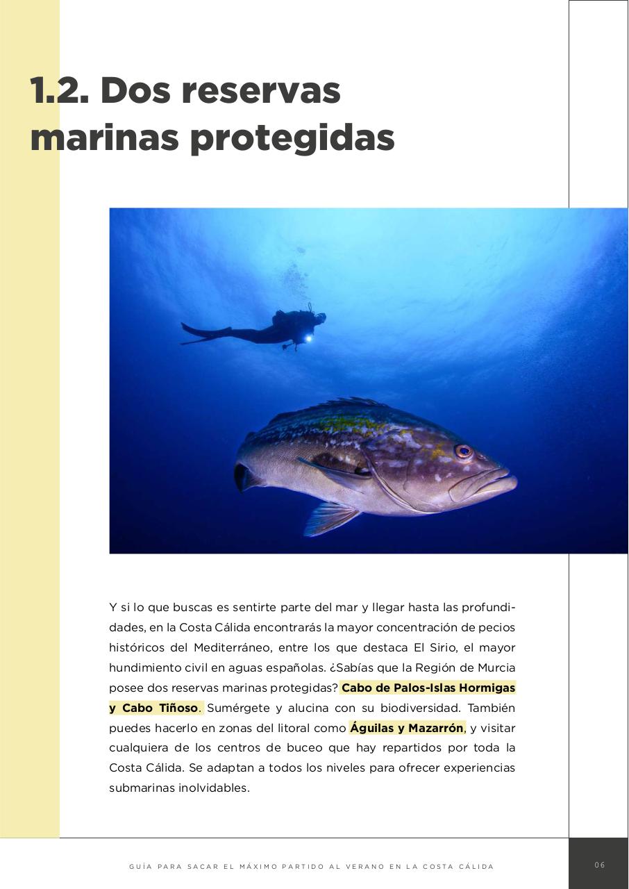 Vista previa del archivo PDF guia-verano.pdf