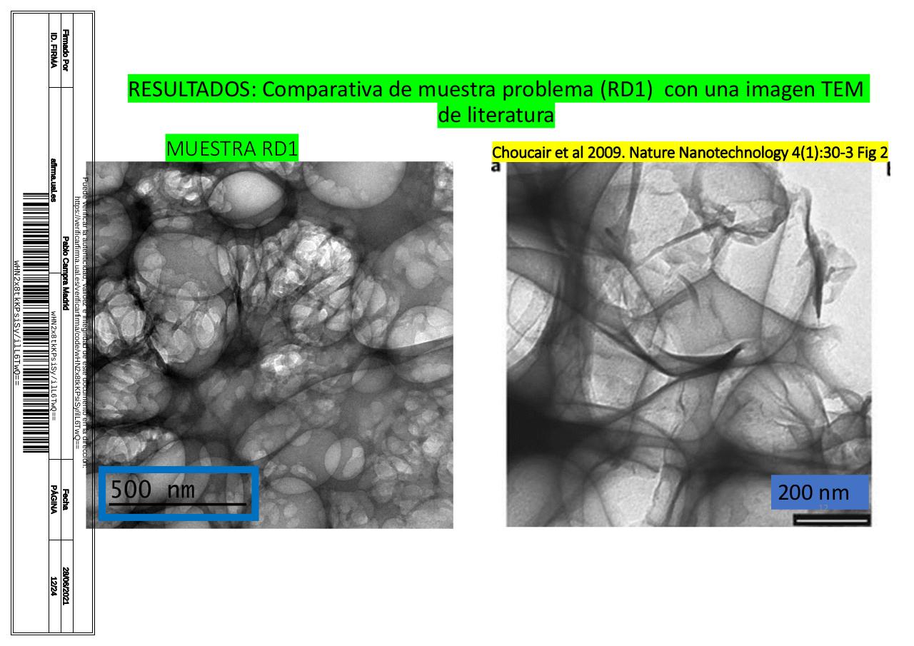Vista previa del archivo PDF microscopiadevialcorminatydrcamprafirmae1horizontal1.pdf